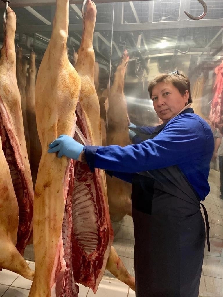 Ветеринарно-санитарный осмотр продуктов убоя животных. Ветеринарно-санитарная экспертиза внутренних органов. Послеубойный осмотр свиней. Всэ внутренних органов и туш. Осмотр туши животного.